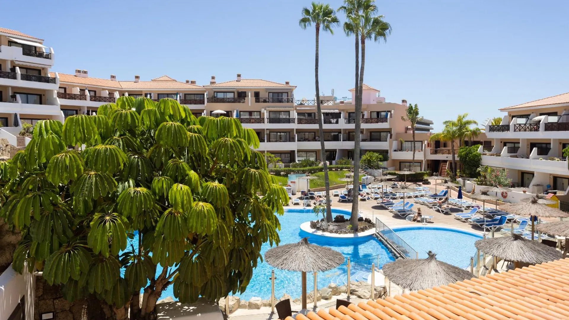 Apartment Okstay Albatros Apto Con Piscina Tenerife San Miguel de Abona